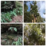 Tatil Evi Old Chapel Hayton Cumbria Ca89hr