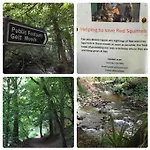 Old Chapel Hayton Cumbria Ca89hr Tatil Evi *