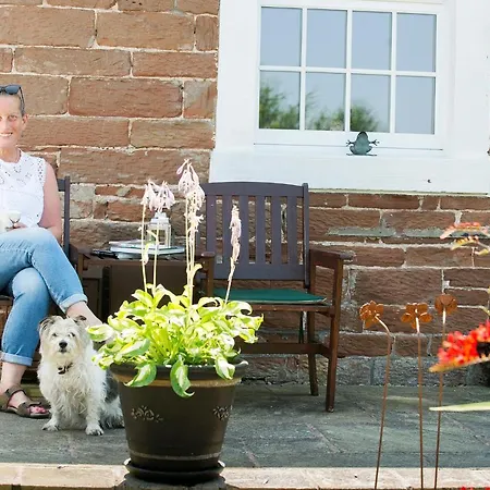 Old Chapel Hayton Cumbria Ca89hr * Hayton (Cumbria)