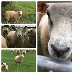 Vakantiehuis Old Chapel Hayton Cumbria Ca89hr