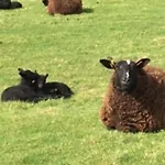 Old Chapel Hayton Cumbria Ca89hr