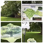 Vakantiehuis Old Chapel Hayton Cumbria Ca89hr Hayton (Cumbria)