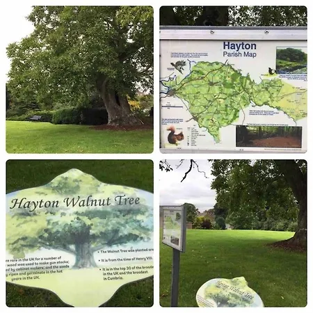 Σπίτι διακοπών Old Chapel Hayton Cumbria Ca89hr Hayton (Cumbria)