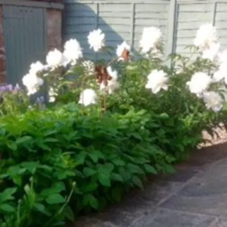 Old Chapel Hayton Cumbria Ca89hr Nyaraló
