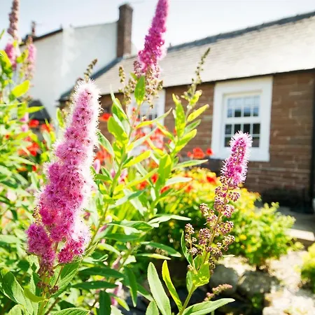 Old Chapel Hayton Cumbria Ca89hr *